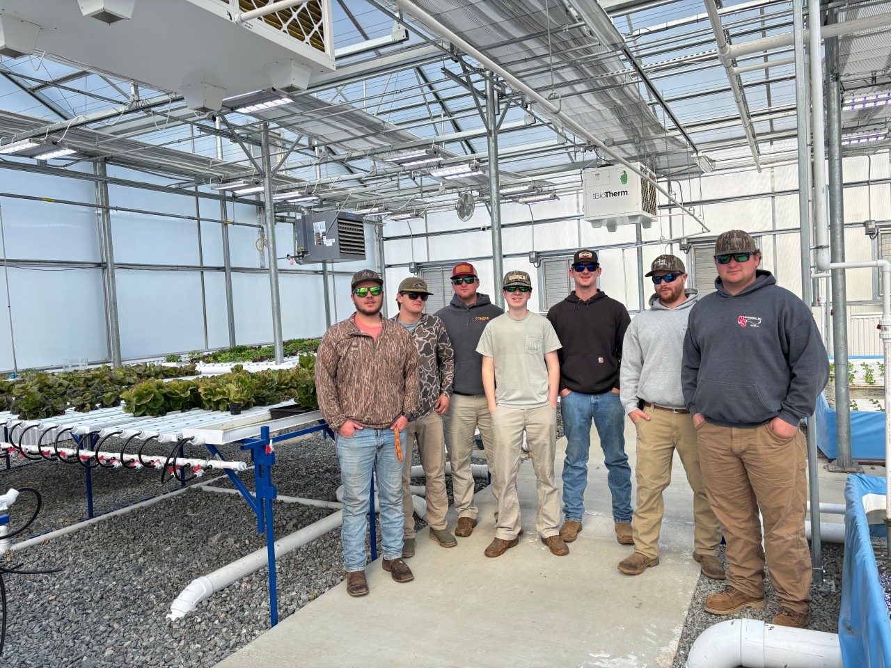 students in a hydroponic greenhouse 