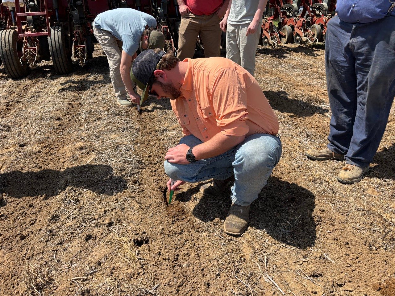 students digging in the ground looking for seeds that the planter planted